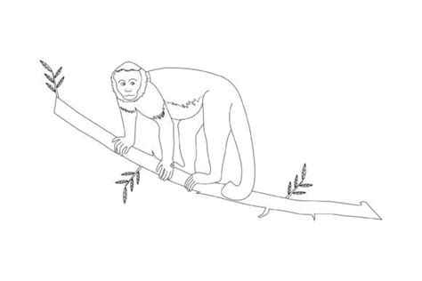 Monkey Line Art Vector Illustrations Graphic by md.shahalamxy ...