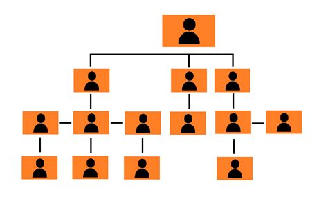 Overview and departmental structure