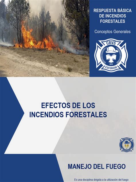 Clase 1 Forestal Pdf Incendios Fuego Fatuo