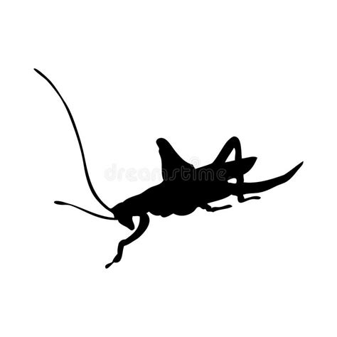 Grasshopper Silhouette Stock Vector Illustration Of Life 264352265