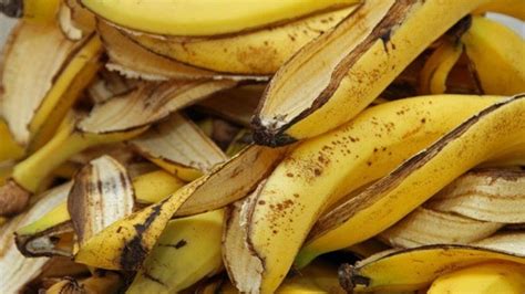 Casca da banana benefícios incríveis que você ainda não conhece