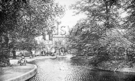 Three Island Pond Wandsworth Common C1900 Wandsworth Borough