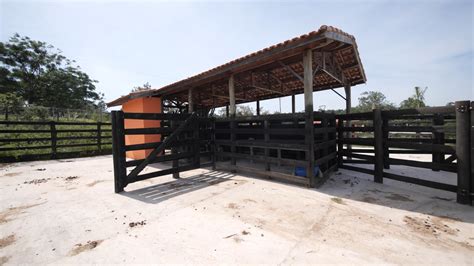 Sitio Haras De Hectares A Venda Em Porto Feliz Sp Viva Rural