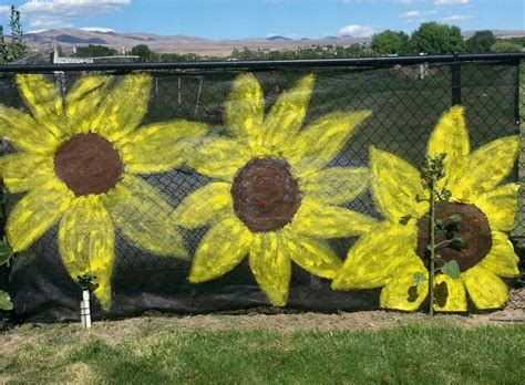 Chain Link Fence Camouflage With Sunflowers The Sprinkler Was Too