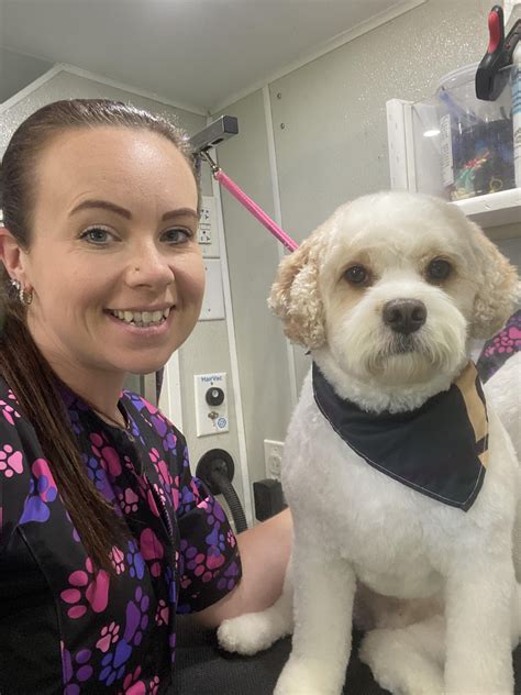 Pink Poodle Mobile Grooming