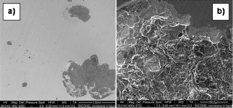 A Sem Image Showing Localized Corrosion On Inconel After H