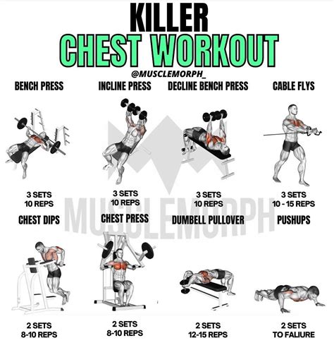 10 best chest workout exercises for building muscle – Artofit