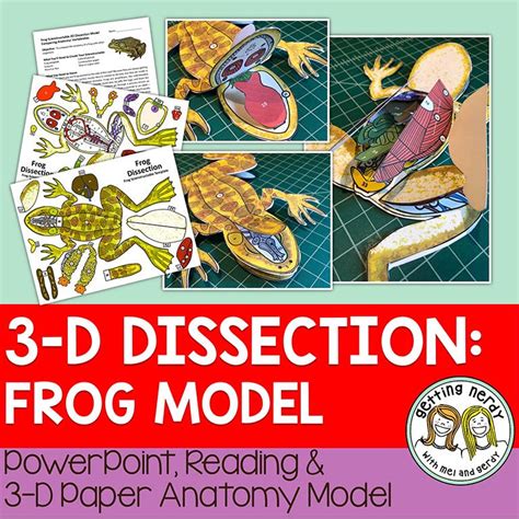 Getting Nerdy ScienceScienstructable 3 D Dissection Frog Model