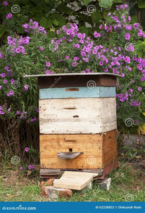 Cozy Old Colorful Beehive In The Garden And Aster Amellus Flowers Stock