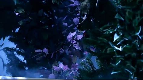 Ravaged Videos Xvideos