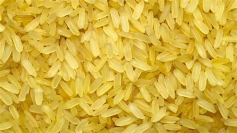 Farmers Gold Or Fools Gold Facts About Golden Rice FlipScience