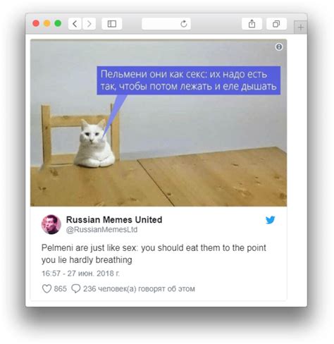 Russian Cat Meme Pelmeni Comparison