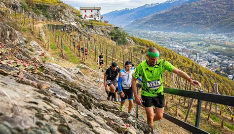 Valtellina Wine Trail La Corsa Tra I Filari Runnerpercaso