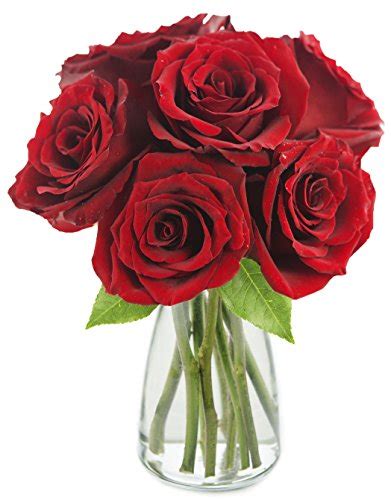 Kabloom The Romantic Classic Red Rose Bouquet Of Fresh Cut Red Roses