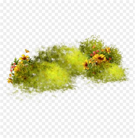 Details 300 Png Background Nature Abzlocal Mx