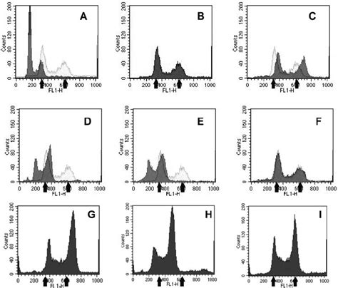 Flow Cytometric Analysis Of Cells Isolated From The Diploid Tetraploid