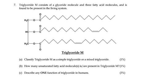 Solved 7. Triglyceride M consists of a glyceride molecule | Chegg.com