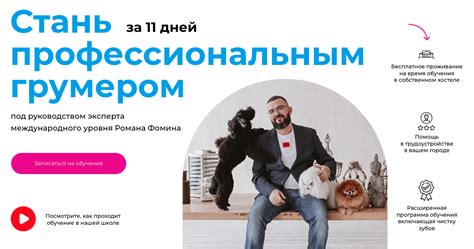 Обучение грумингу с нуля в Москве. Базовый курс по грумингу в Груминг ...