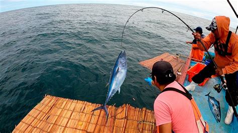 Impresionante Pesca De Bonitos En Alta Mar Deep Sea Tuna Fishing