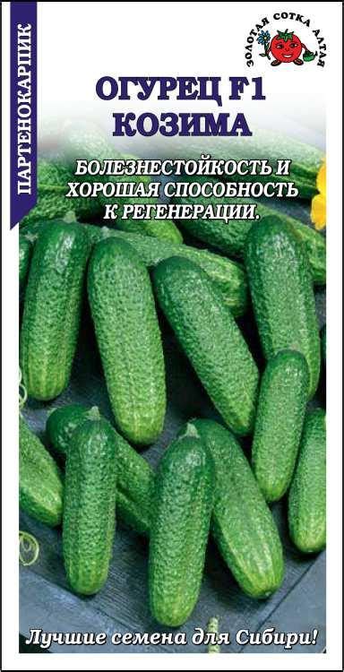 Золотая сотка алтая