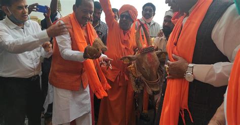 Anti Cow Slaughter Bill Passed In Karnataka Assembly Provides For Jail