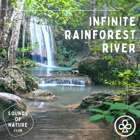 Infinite Rainforest River Album By Sounds Of Nature Club Spotify