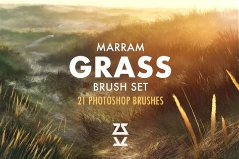 15 Grass Brushes Abr Procreate Free Download Graphic Cloud