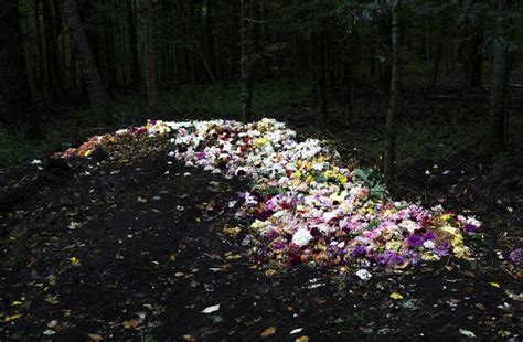 Dingin Fotoğraflar Işık Su ve Diğer Doğal Elementlerin Anlık