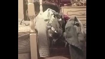 Using A Deodorant Can N A Coke Bottle To Fuck Myself In My Ass Pussy XVIDEOS