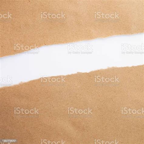 Paper Backgrounds Torn Paper Texture Of Cardboard And Craft Paper White