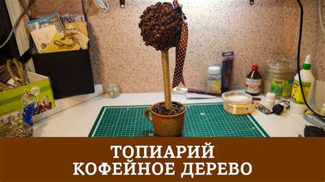 Топиарий / Декоративное (кофейное) дерево - YouTube