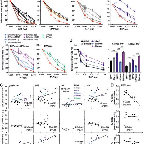 Primate Lentiviral Sensitivity To Human Zap A Proviral Constructs Of