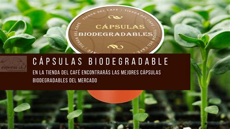 Por Qu Comprar Capsulas Biodegradables O Compostables