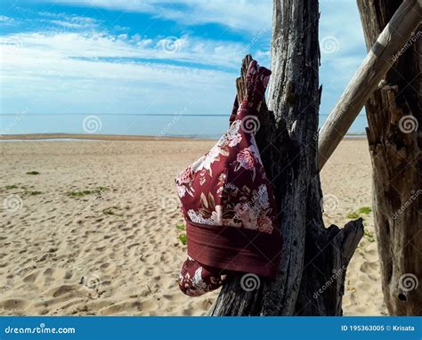 Woman Bikini Swimsuit Hanging On A Dry Tree Branch At The Beach In The Sunlight Vacation