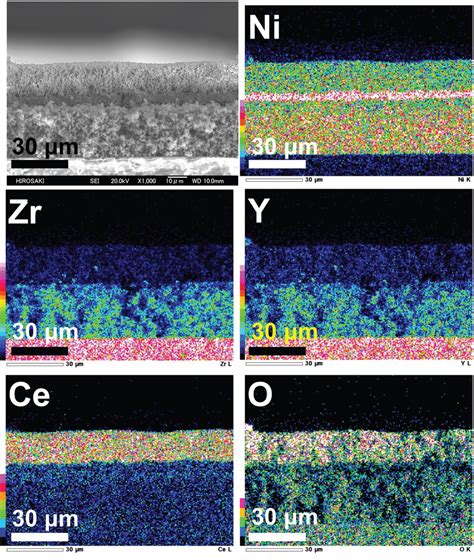 Energy Dispersive X Ray Spectrometry Images Of The Ni CeO2 Ni Ni YSZ