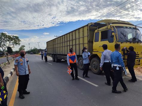 Operasi Over Dimension Dan Over Loading Di Rohil Dishub Tilang Puluhan