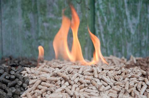 The Pros And Cons Of Biomass