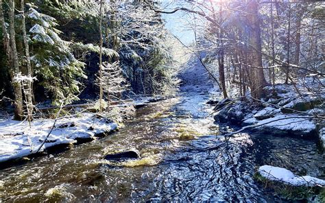 Nackawic New Brunswick Canada Winter Snow Trees Forest Water