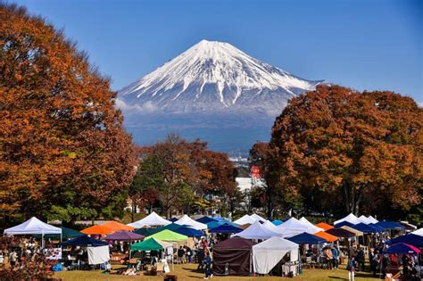 fuji1 | コラム