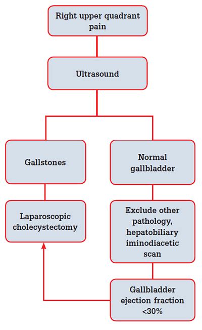 Epidemiology And Pathogenesis Of Gallstones Springerlink 45 Off