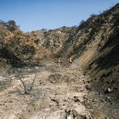 Nude In Nature ShesFreaky