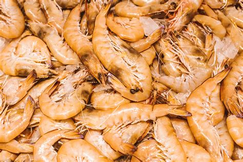 Wholesale Tiger Prawns Wholesale Seafood Manettas Seafood Market