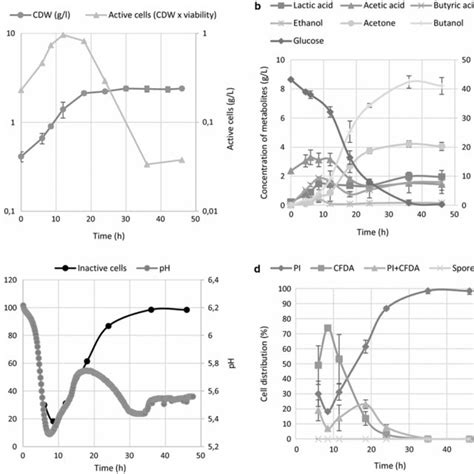 The Time Course Of A Cell Growth And Total Amount Of Active Cells OD