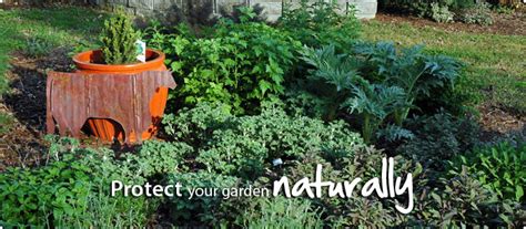 Protect Your Garden... Naturally - The Herb Exchange