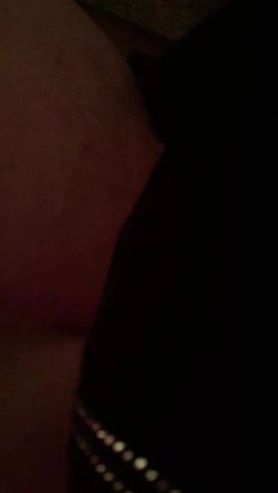 Mistress Sue And Sammie English Shemale Anal Anal Porn XHamster