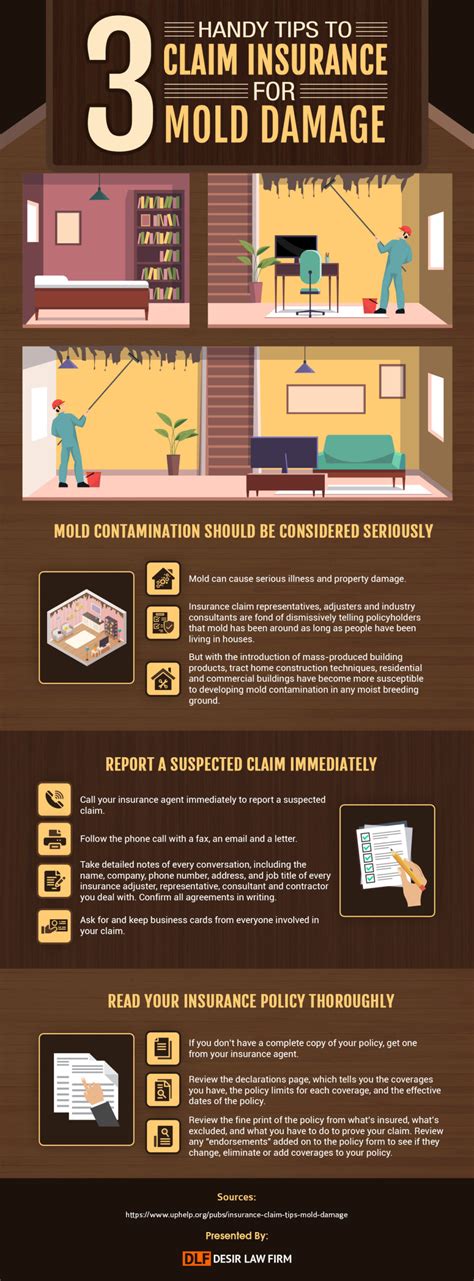 3 Handy Tips To Claim Insurance For Mold Damage Desir Law Firm