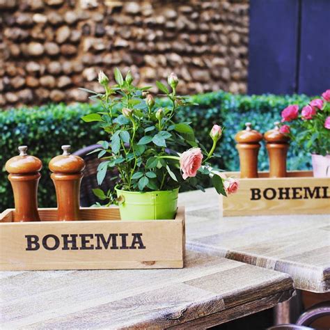 Bohemia The Lanes | Brighton Bar Reviews | DesignMyNight