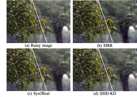 Figure From Semi Supervised Image Deraining Using Knowledge