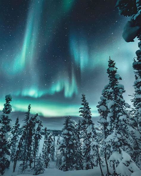 Photos by @dreamingandwandering | See the northern lights, Northern ...