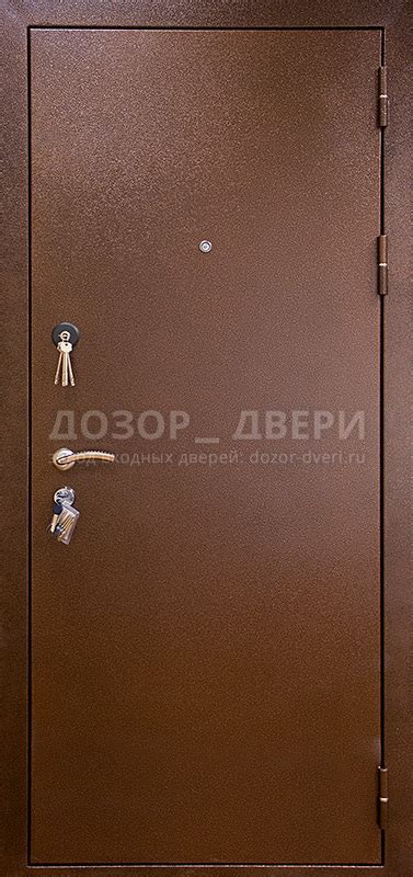 Входная металлическая дверь в частный дом с терморазрывом